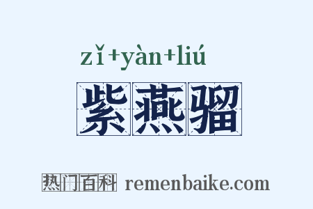 紫燕骝是什么意思的图片